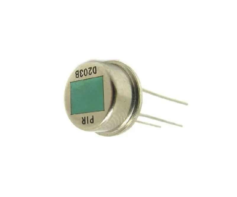 D203B